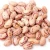 Import High Quality New crop sugar beans LSKB light speckled kidney bean | Rek Kidney Beans from South Africa