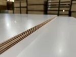 TFL Plywood