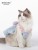 Import Summer Macaron pet clothes from China