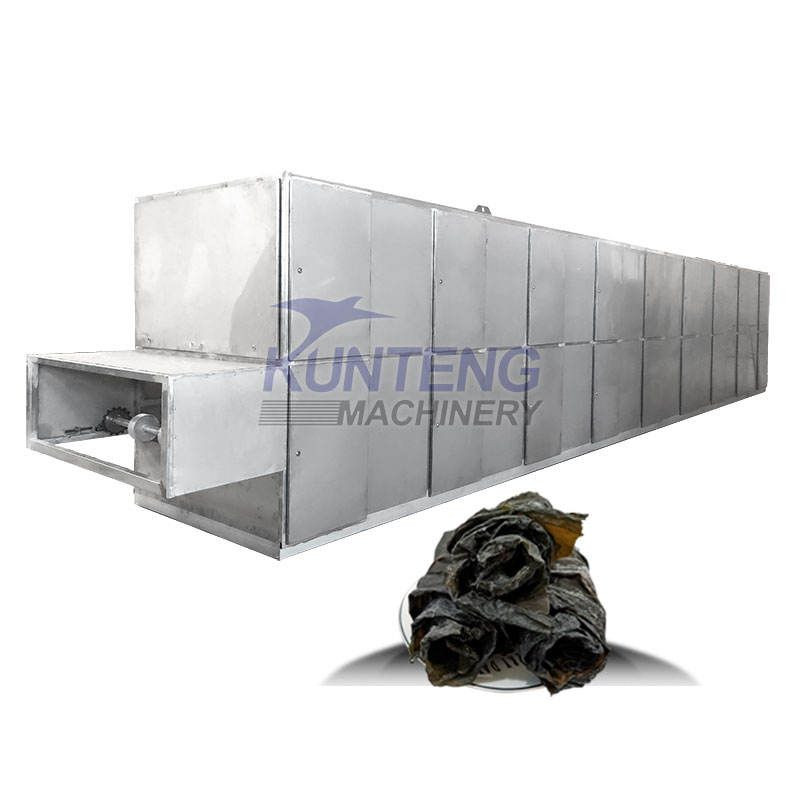 Kale Drying Machine Buy Food Kelp Drying Machine Seaweed Mesh Belt Dryer Vegetables & Fruit ...