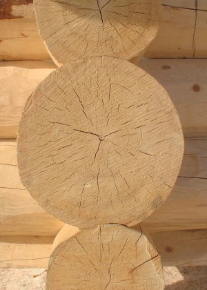 Premium Engelmann Spruce Logs Bulk Supply High Quality Timber Export Grade Material