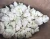 Import Frozen Broccoli from Egypt