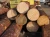 Import Premium Engelmann Spruce Logs Bulk Supply High Quality Timber Export Grade Material from South Africa