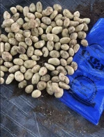 Fresh Egyptian Potatoes | Premium Table Potatoes Exporter & Supplier