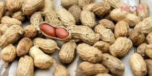 Peanuts (Groundnuts)
