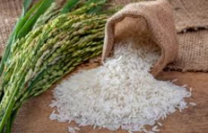 High Quality Rice