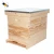 Import 10 Frame Two Layer Langstroth honey Beehive from China