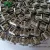 Import 10BSS Stainless steel Gripper Transmission Chain from China