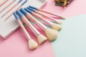 10PCS Travel Brush Set Pink Blue Wood Handle Synthetic Hair