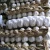 Import 2018 Chinese fresh garlic manufacturer from China