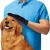 Import 2018 Practical Best Seller 259 Tips Dogs Cats Home Pet  Comfortable Grooming Deshedding Brush Gloves from China