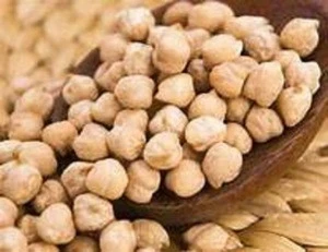 2019  canned chickpeas ,  Ethiopian Chickpeas    FOR SALE