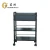 Import 2020 Beauty Salon Multi-layer Carts And Trolleys Hair Salon from China