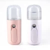 2020 New Handheld Skin Mister Steam Machine Portable Facial Steamer 30ml Nano Facial Mister sprayer