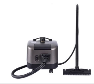 2020  New model 220V 1800W industrial use high temperature steam cleaner for car cleaning and kill bacteria