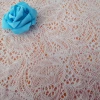 2020 Nylon Cotton Beautiful Lace Fabric white color for women dress