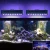 Import 2020 Shenzhen supplier 165W new intelligent control 24 inch 48inch led aquarium light led aquarium plant lighting for coral reef from China