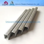 22GA 71 Fine wire staples