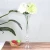Import 28&quot;  Elegant Reversible Trumpet Centerpiece Glass Vase clear accept logo welcome OEM from China