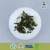 Import 3JG, Chinese Flavored Tea Wholesale FDA Jasmine Tea from China