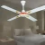 Import 4 blades luxury ceiling fan for middle east from China