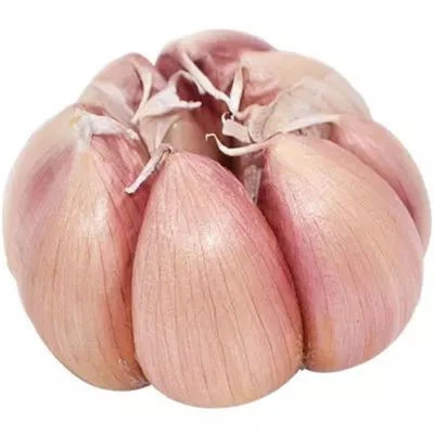 5.5 cm Factory Pure White Fresh Garlic Price/ bulk garlic for sale/ garlic from