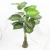 Import 85cm Large Artificial Plants Tropical Tree Monstera Leaves Plastic Palm Tree Real Touch Turtle Leaf Home Wedding Decoration from China