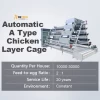 A Type Battery Layer Chicken Cages Automatic Egg Poultry Farming Equipment System