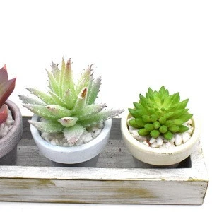 Artificial Succulent Plants Set With Paper Pots In Wooden Tray Succulents For Home Decor