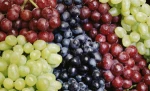 Australian Fresh Grapes