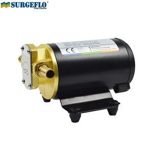 auto 12v dc  electric micro hand diesel fuel water transfer pumps engine lubrication hydraulic gear oil pump for lathe machine