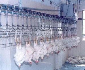 Automatic Poultry Slaughter Plant