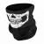 Import Balaclava Ski Mask Breathable Cotton Windproof Warm Winter Mask for Outdoor Sports Skiing Skating Motorcycle Bicycle from Pakistan