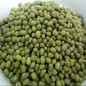 Best quality Green Mung Beans