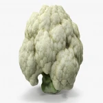 Best Selling Fresh frozen Cauliflower And Frozen Cauliflower Products