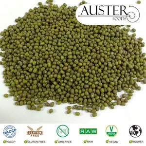 Best Selling Mung Bean 2016 (Exported from the USA. Pallet orders delivered internationally)