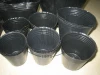 black plastic nursery pots