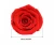 Import BLH 4-5cm Grade A Rose Head Preserved Rose Gift flowers Wedding Party Decoration  Dry Flowers Eternal Rose Everlasting Rose from China