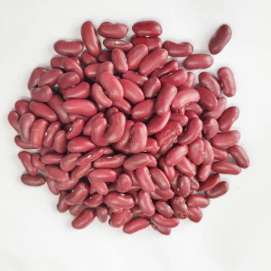 Bulk China Dark kidney beans, British Red Beans, RKB for sale