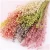 Import C284 Factory Directly Natural Real Touch Preserved Flowers Small beans Berzelia Plant Coral Fruit Flowers For Sale from China