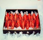 Canadian frozen cooked /raw lobster