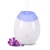 Car aromatherapy machine/Air Purifier/Electric Aromatherapy Essential Oil Diffuser