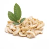 CASHEW NUT WITHOUT SHELL GRADE WS 100% Best Product High Quality Raw Best For Buyer