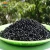 Import CE Certification High Concentration Rubber Carbon Black Masterbatch For Cake Pan from China