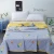 Import Cheap Hot Sale Top Quality China Product Washed Bed Spread Custom Quilt from China