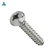 Import China Custom Metric Phillips 304 Stainless Steel Self Tapping Screw Flat Pan Head Zinc Plated Drywall Screw For Plastic from China