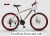 Import China manufacturer adult bicycle 26 inch mountain bikes high carbon steel folding bicycle from China