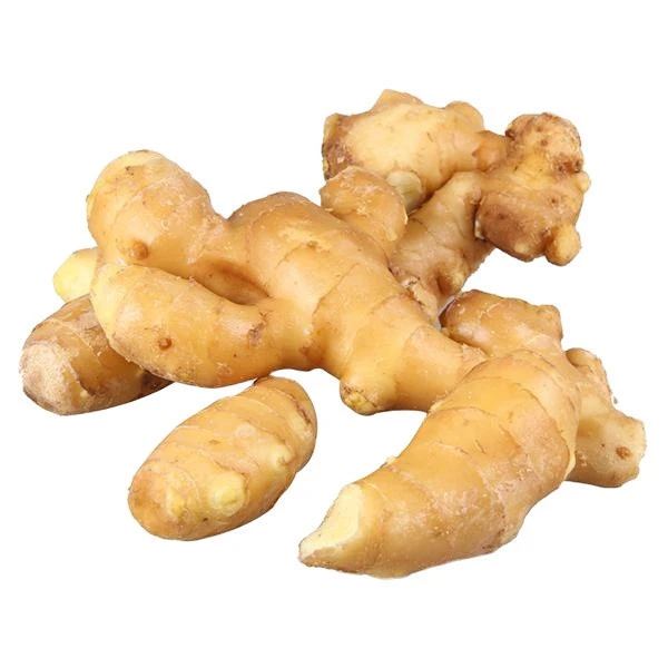 China wholesale GAP new Fresh Ginger