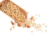 Chinese wholesale dried  good price Pine nuts  in bulk