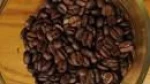civet coffee